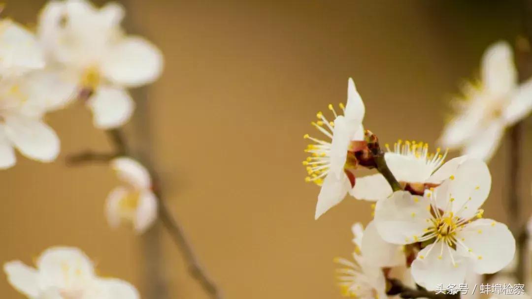 最容易用错的70个成语,你必须知道的100个易错成语