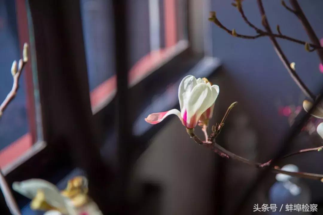 最容易用错的70个成语,你必须知道的100个易错成语