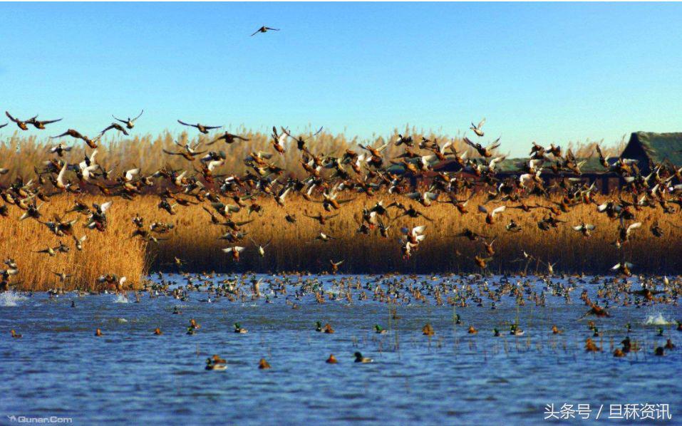 上海人均身价是多少,上海人均身价