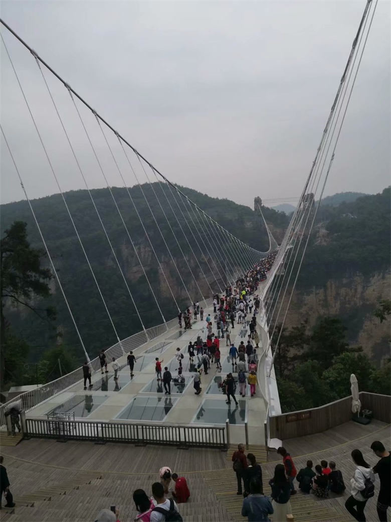 香港人组团游张家界,姐妹相约张家界三日游