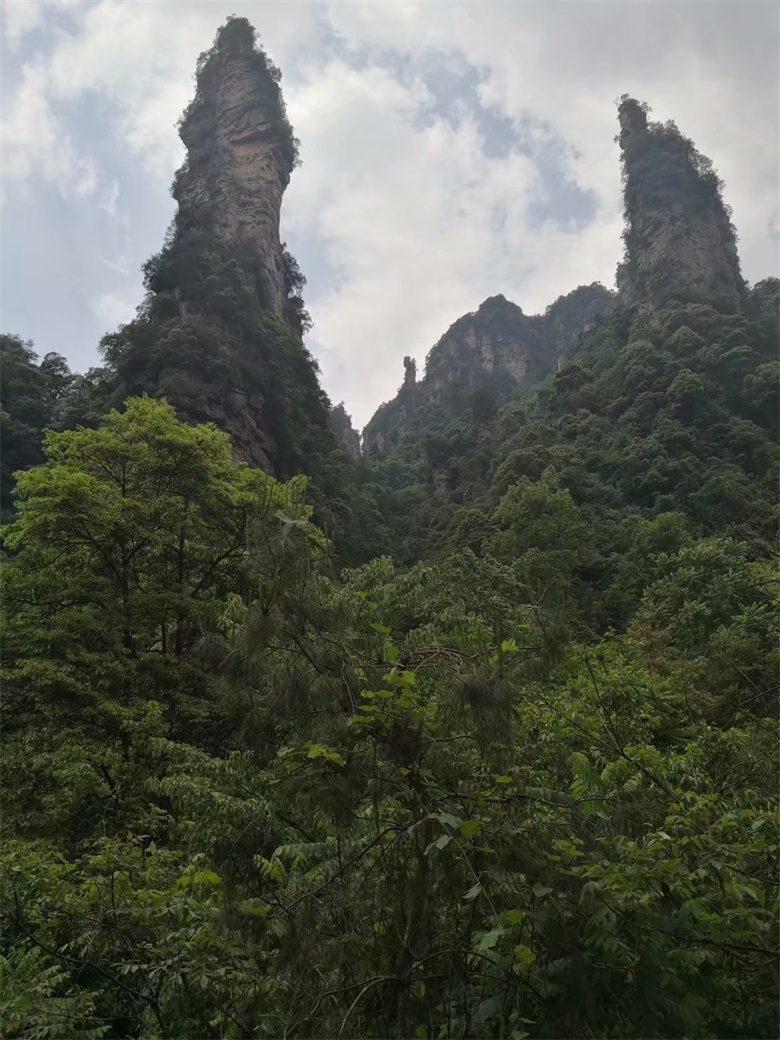 香港人组团游张家界,姐妹相约张家界三日游