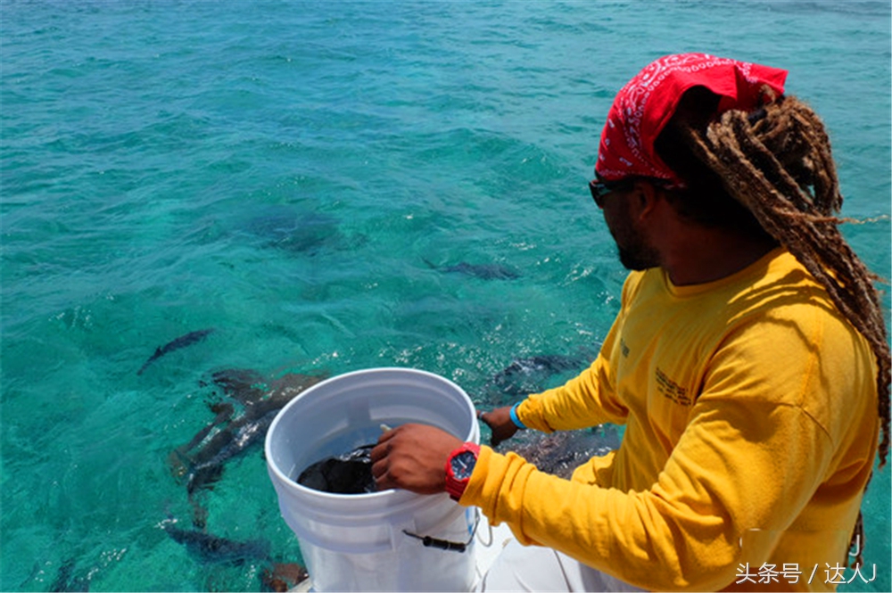 伯利兹陆路去危地马拉,伯利兹陆路过境危地马拉