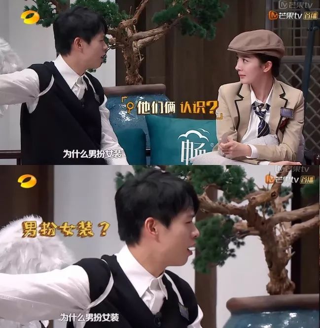 白敬亭魏大勋互相吐槽,山花为啥是形容魏大勋和白敬亭的