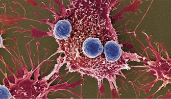 science抗癌药物,抗癌生物免疫疗法