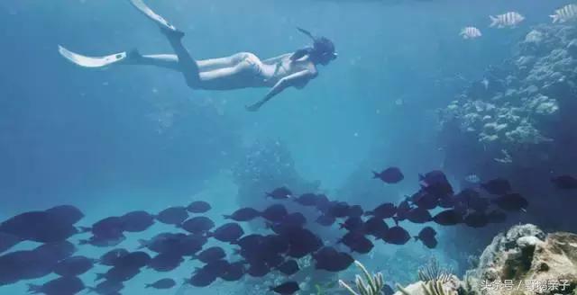 太平洋海底世界带孩子游玩,亲子游海洋世界打卡