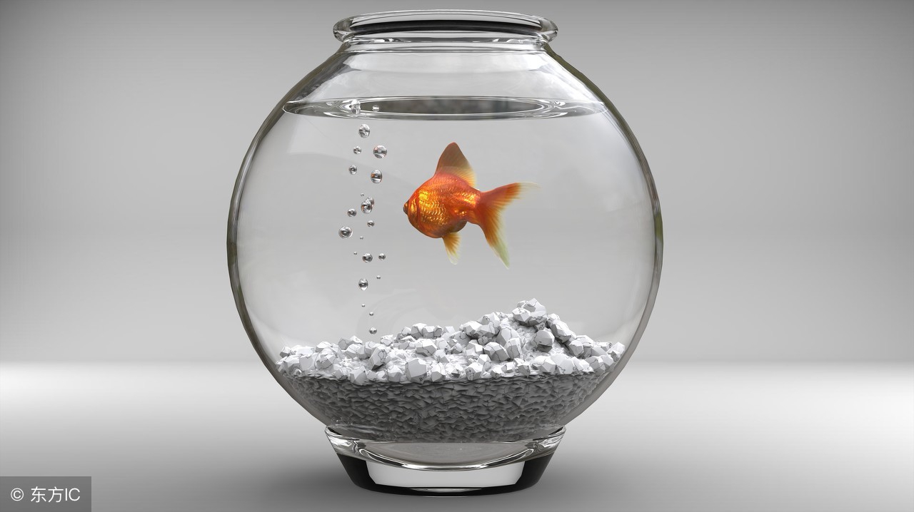 父母培养天才孩子的五大原则,培养优秀孩子的六大绝招