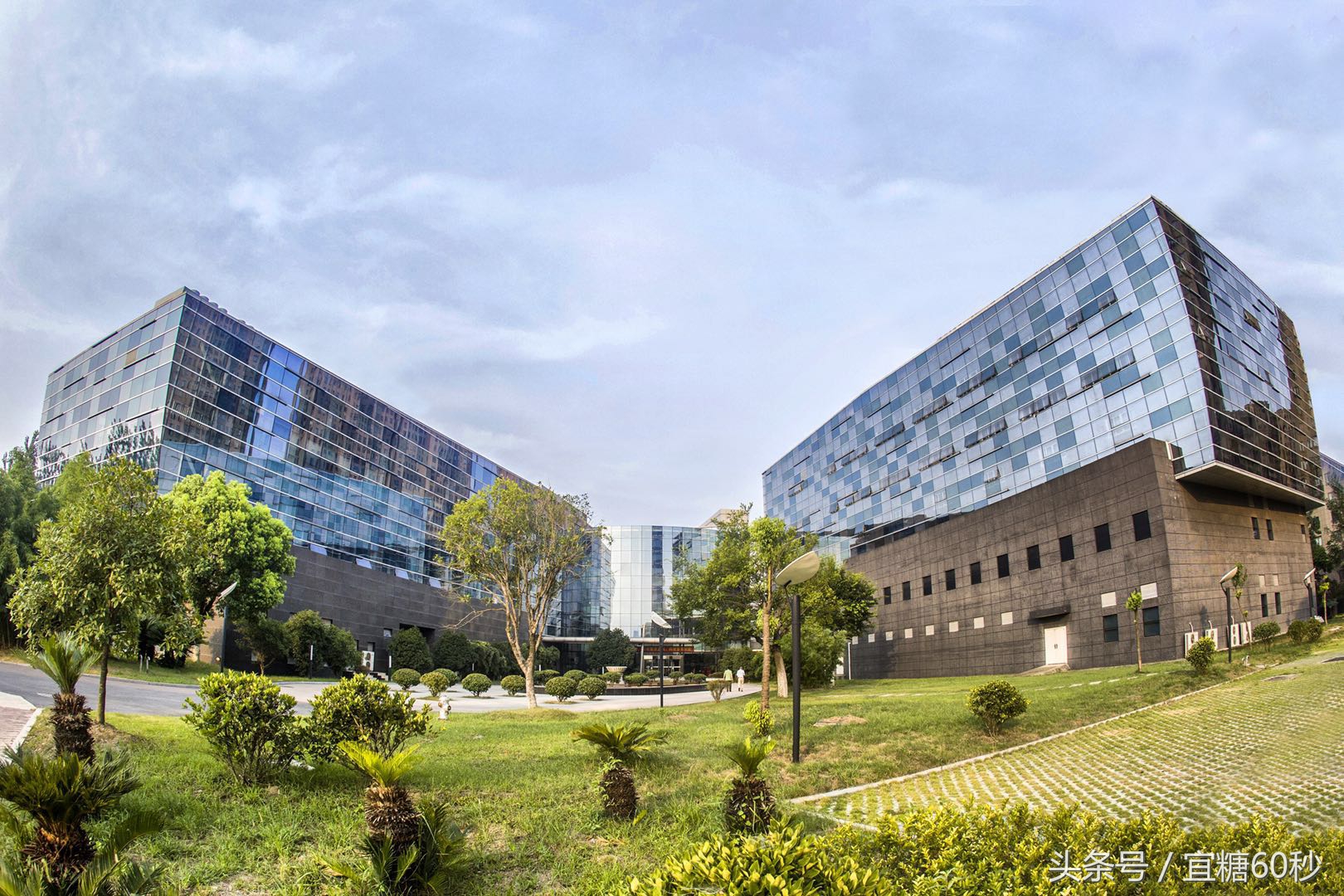 天麦生物口服胰岛素最新官方消息,天麦生物日服胰岛素何时上市