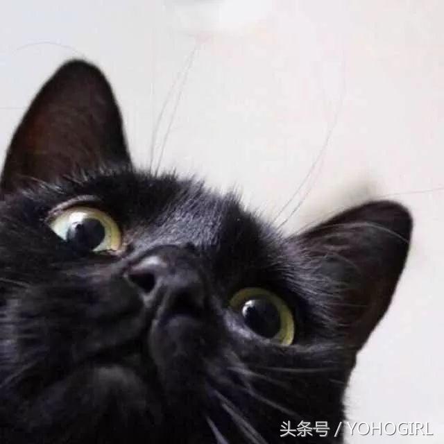 小众好用的好物,推荐便宜又好用的小众好物