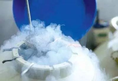 徐静蕾冻卵的危害,林志玲为什么要冻卵