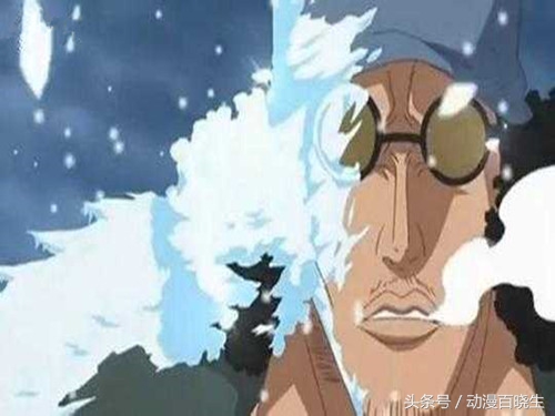 海贼王恶魔果实图鉴书本,海贼王恶魔果实在现实生活中出现