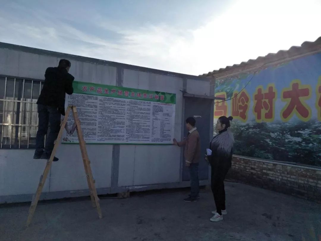 孟津袖珍西瓜多少钱,孟津袖珍西瓜新品种