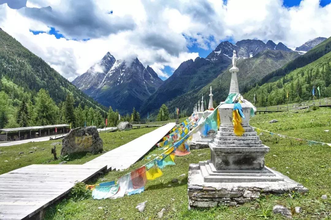 四川青城山景区免票,四川对浙江省免票的旅游景区