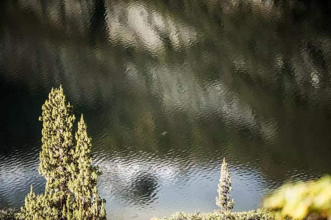 四川青城山景区免票,四川对浙江省免票的旅游景区