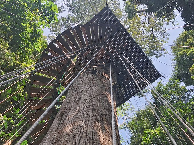 “湿身”一夜芭提雅——不负泰激情