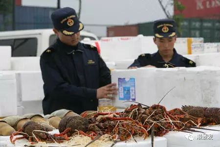 正关和边贸区别,共同海鲜与单独海鲜的区别