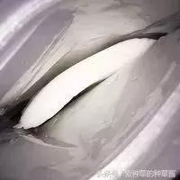 好用的微商面膜推荐,拔草那些不值得买的网红视频