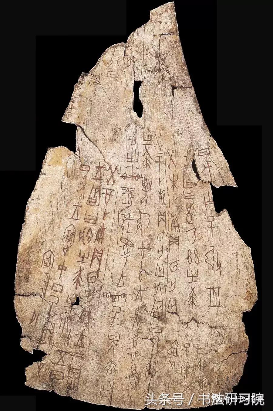 甲骨文书法名家作品欣赏,中国书法甲骨文视频大全