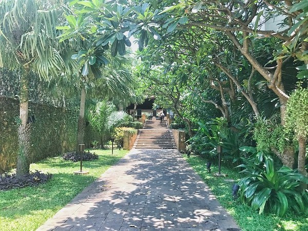 4月泰国泼水节攻略,芭提雅旅游数据泼水节