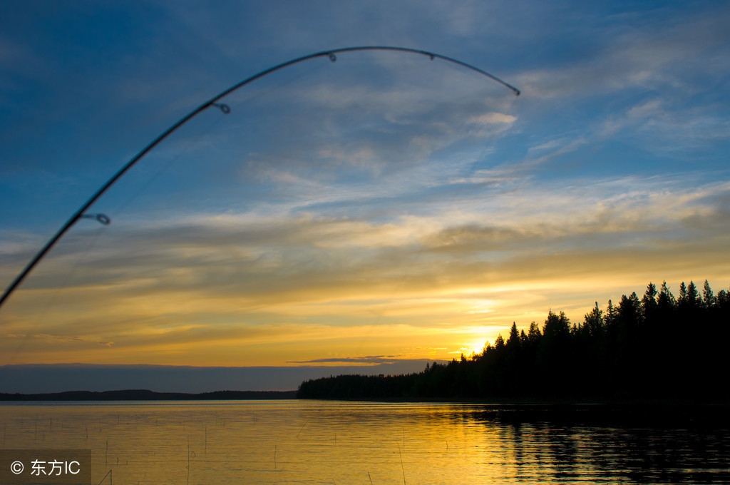 怎么样才能快速夜钓,十月份夜钓鲫鱼技巧和经验