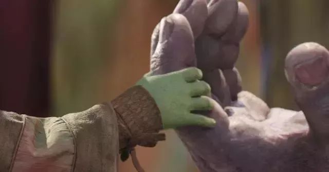 无限战争的真相终于被揭开,真正的无限战争