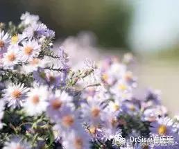 脸上80%的斑点反反复复,脸上1000多个痘坑