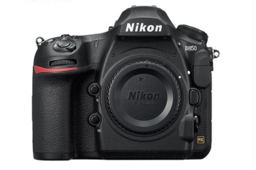 大个头大智慧,大脑门子大智慧