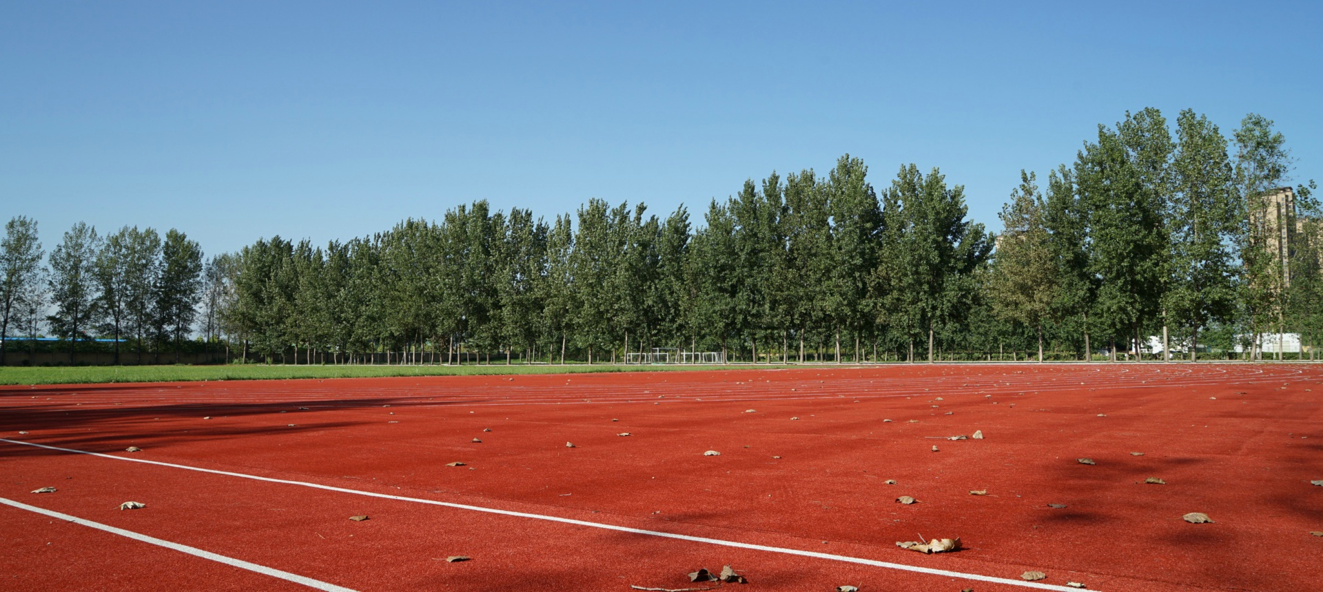西安博爱国际学校和西安高级中学,西安市博爱国际学校