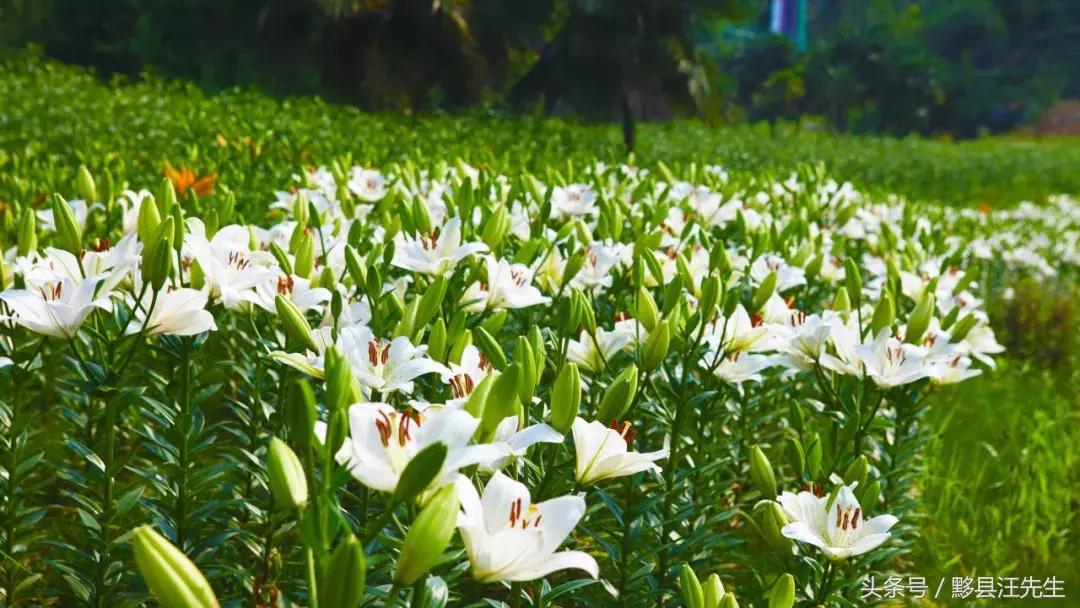 女朋友和老婆的定义是什么,女朋友和老婆的定义