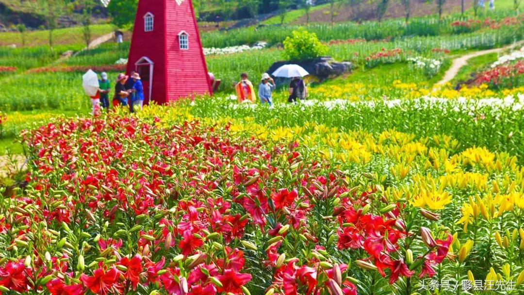 女朋友和老婆的定义是什么,女朋友和老婆的定义