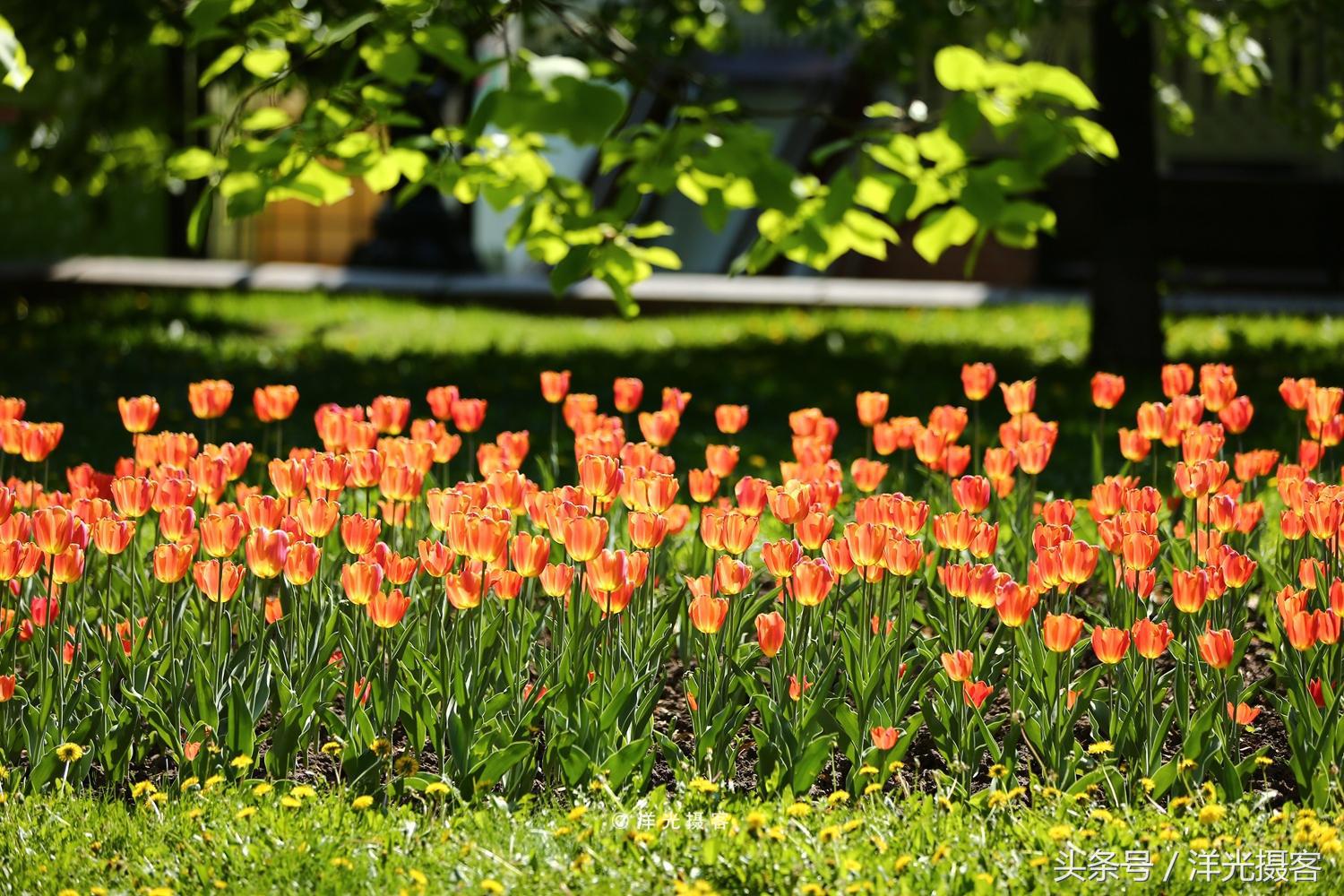 暴走俄罗斯街头,暴走莫斯科