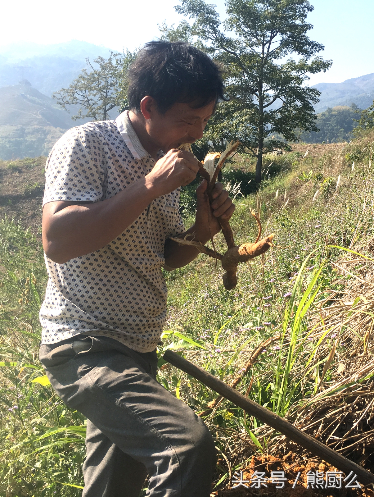 这个村的人一天能喝两斤白酒，不喝酒就浑身没劲不下地干活