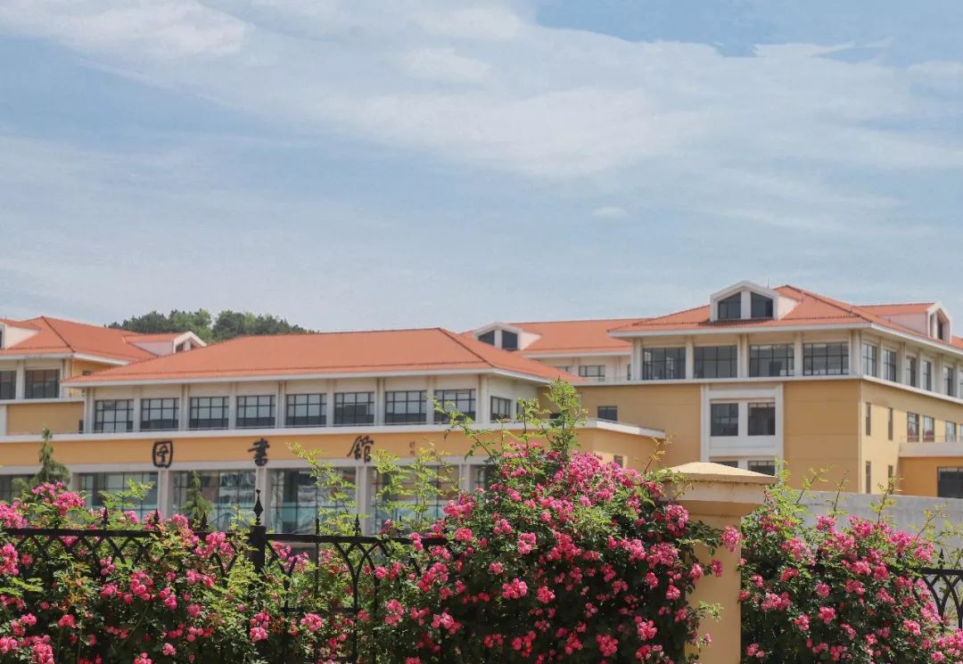 海大校花,海大双胞胎校花