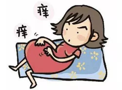 孕晚期皮肤瘙痒一定是胆汁酸高吗,孕晚期肚皮瘙痒是不是胆汁淤积