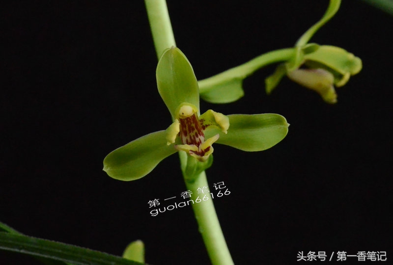 五月温度高是何征兆,五月温度为什么这么高