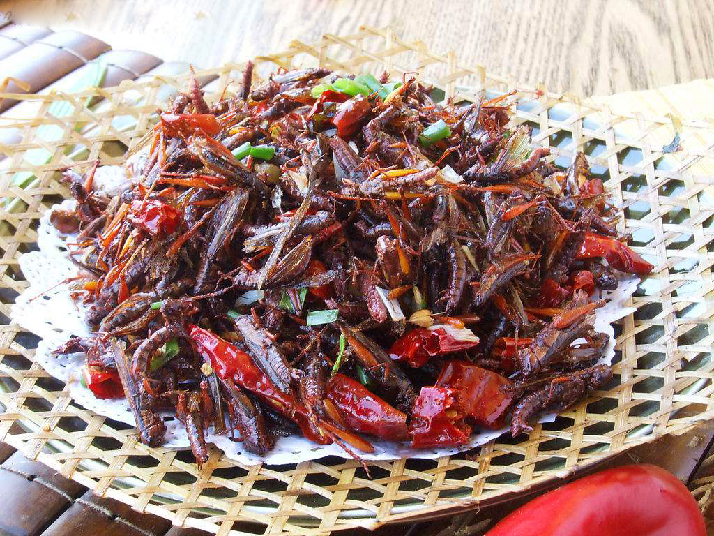 农村的虫子都有哪些,农村常吃的十种虫子