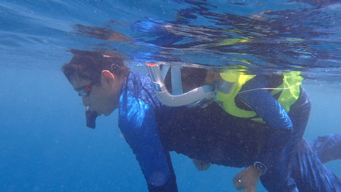 呱呱去旅行的视频,跟着瓜瓜去旅游