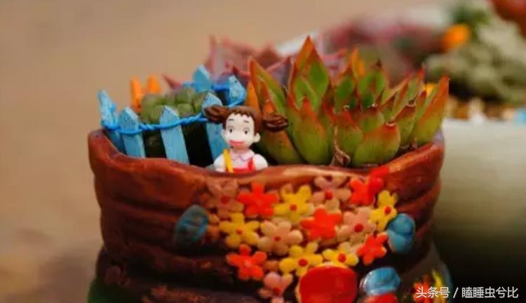 颗粒土和营养土哪个养多肉好,养多肉用什么土和什么肥料