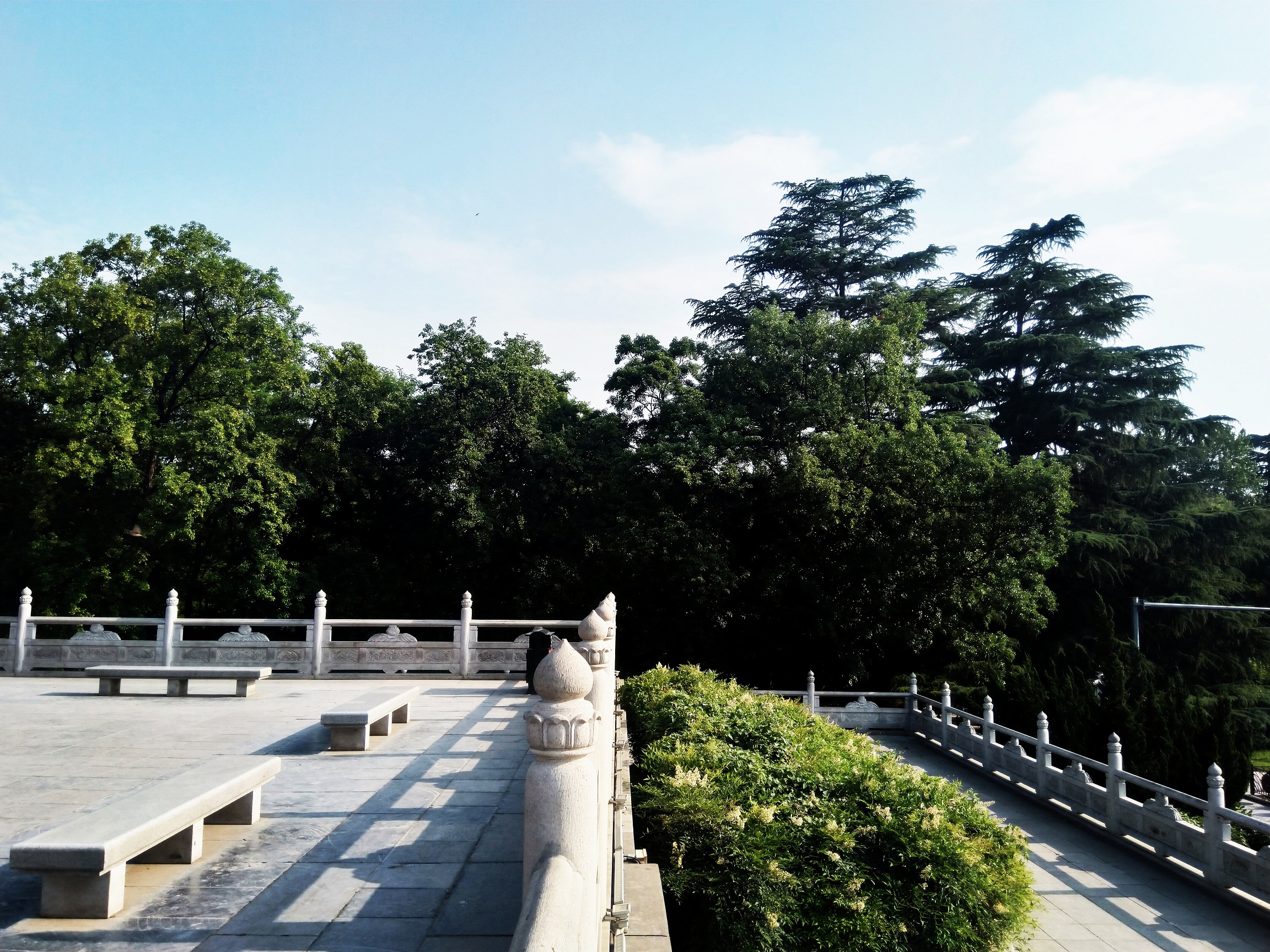 李白云想衣裳花想容这首诗背景,云想衣裳花想容李白给谁写的诗