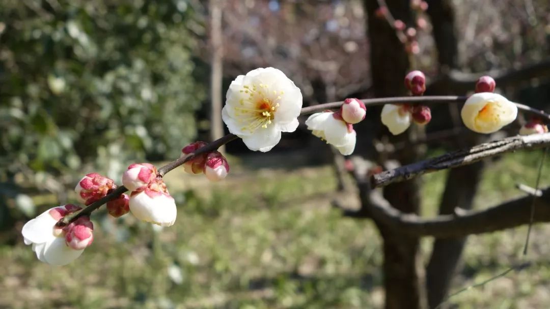 上海旅游必去建筑,时光之旅上海马戏城