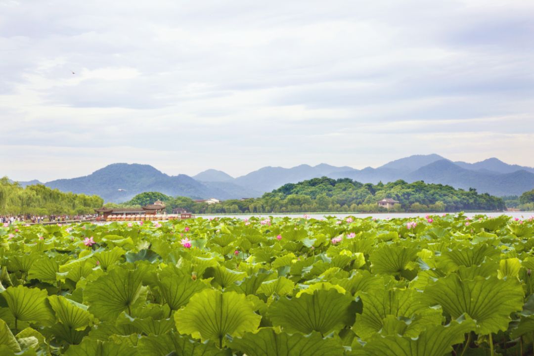 中国旅游日对哪些景点免门票,中国旅游日和国际旅游日免票吗