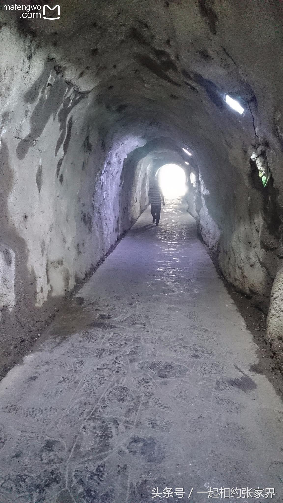 张家界机场到天门山自由行攻略,张家界天门山一日游攻略省钱