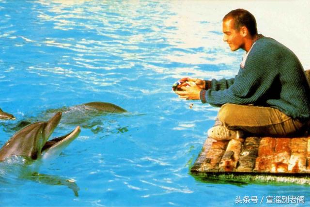 夏日倾情2005演唱会,何乾樑《夏日倾情》