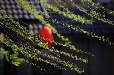 黄正华的诗词,黄正华经典诗词