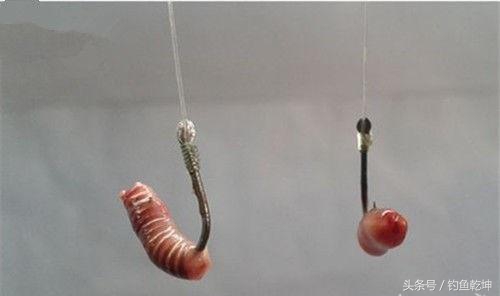 钓鱼用不完的蚯蚓冬季怎样养活,买钓鱼的蚯蚓怎么保存