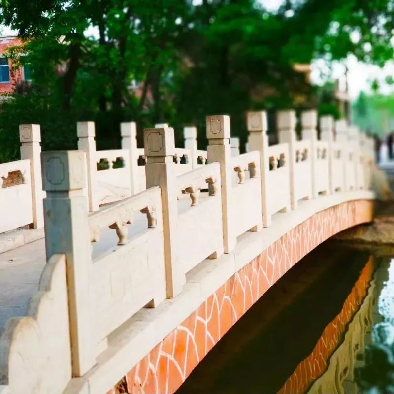 520绿幕素材我对你不仅仅是喜欢,520不仅仅代表爱情