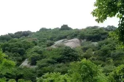 郭红演唱歌曲,郭红唱的歌曲