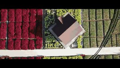 骞垮窞鍗楁矙寰掓2019,寰掓骞垮窞鍗楁矙