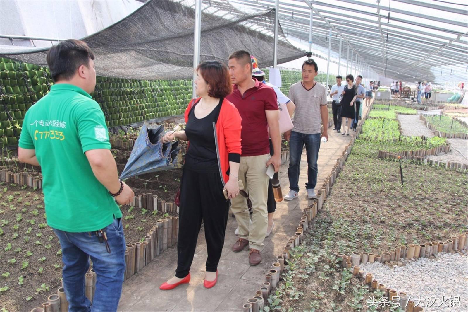 大汉火锅成都,大汉火锅中兴路