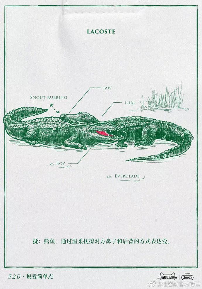 杜蕾斯文案为什么接地气,杜蕾斯评论区文案