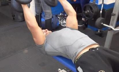 初学者哑铃训练动作大全,哑铃训练动作大全初学者跟着做